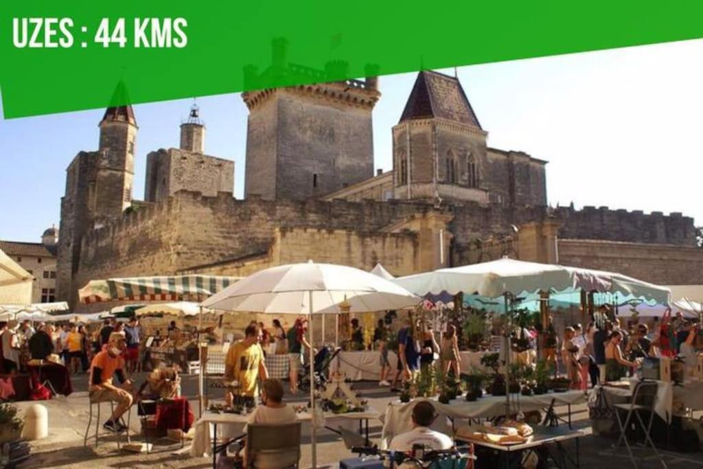 La Terrasse Des Carmes - Terrasse - Ac Clim - Spacieux 아비뇽 외부 사진